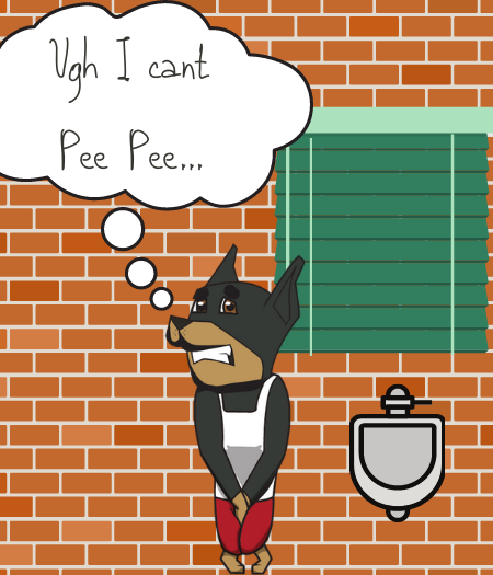 My Pet is having trouble peeing, what do I do?
