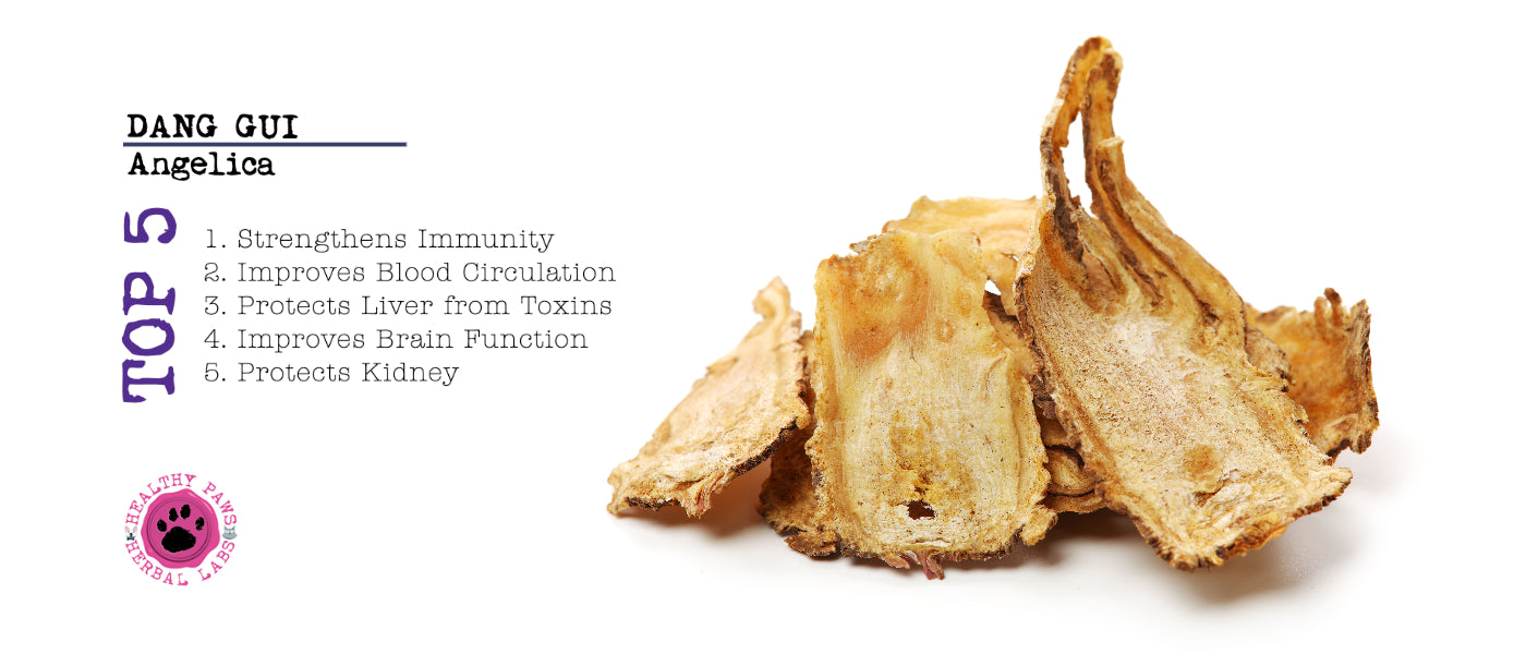 Slideshow Image 3